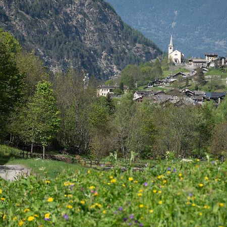Case Gran Paradiso Rhemes Saint Georges Екстер'єр фото