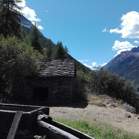 Case Gran Paradiso Rhemes Saint Georges Екстер'єр фото