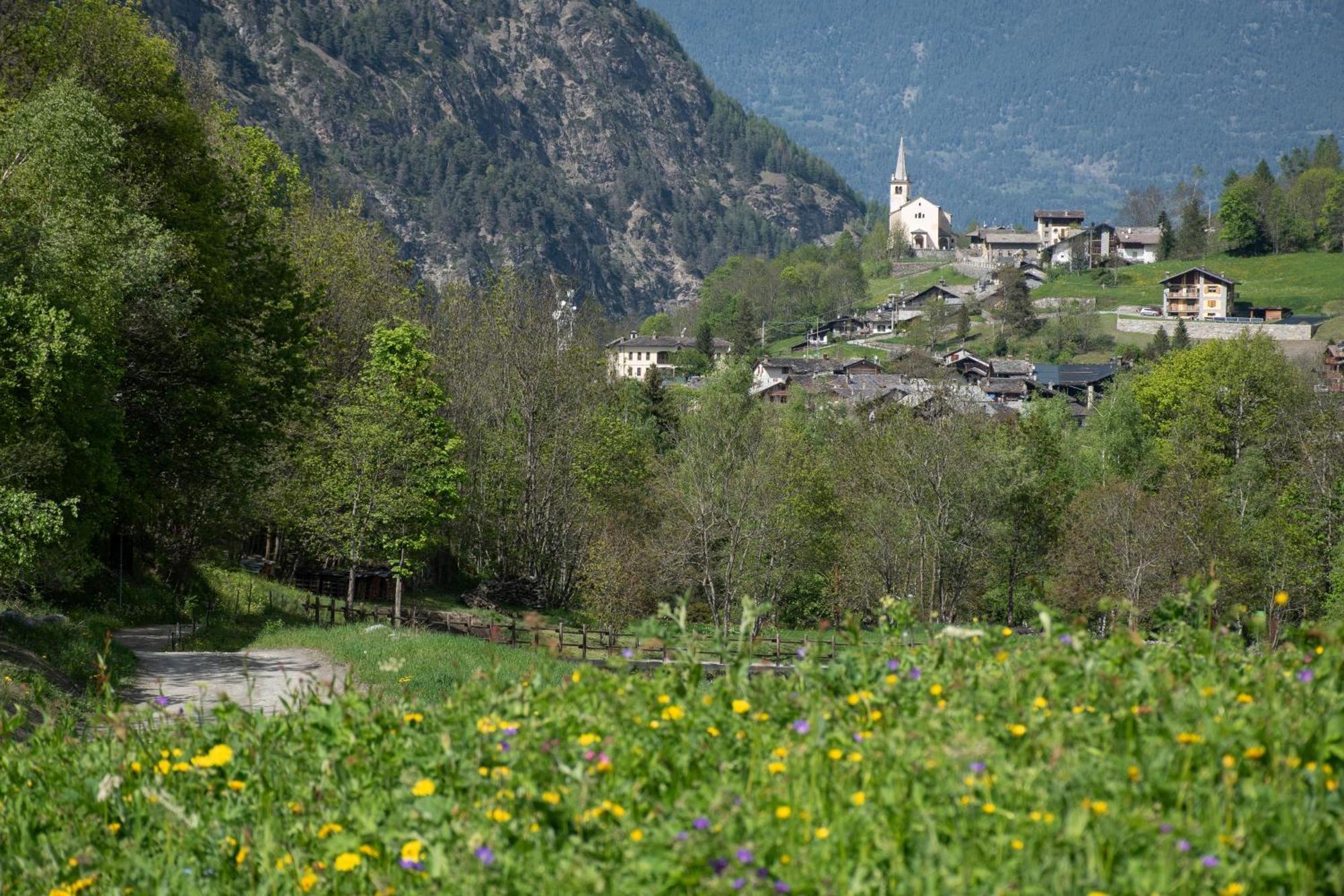 Case Gran Paradiso Rhemes Saint Georges Екстер'єр фото